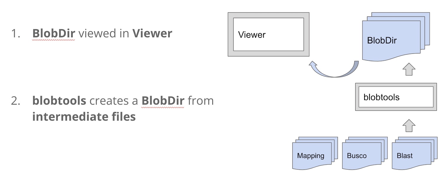 Schematic showing how BlobToolKit Viewer is driven by a blobdir, which is made using blobtools and input mapping blast and busco files